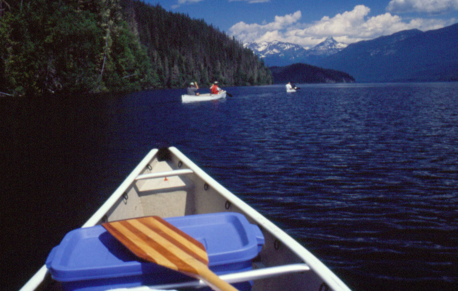 Helmcken Falls Lodge Cabin Rooms And Rv Park 克利尔沃特 外观 照片